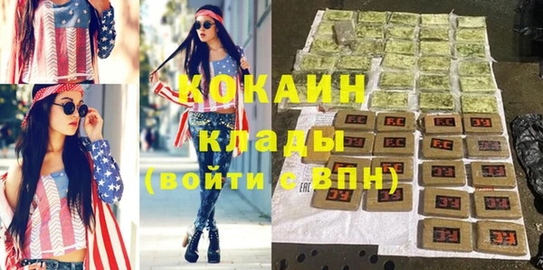 молекула духа Богородицк