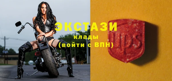 молекула духа Богородицк