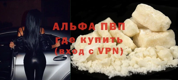 молекула духа Богородицк