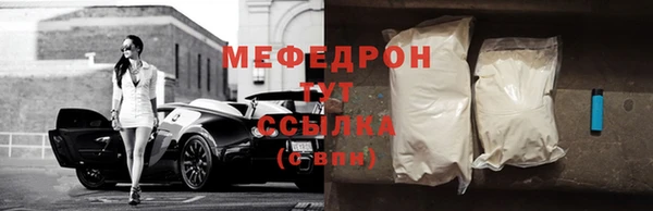 молекула духа Богородицк