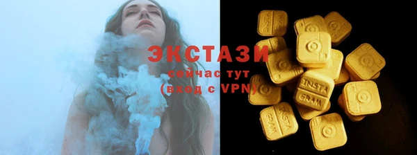 молекула духа Богородицк