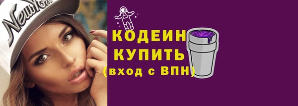 молекула духа Богородицк