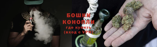 молекула духа Богородицк