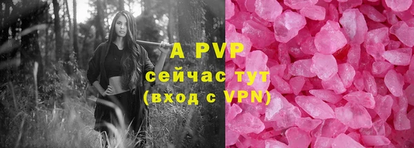 молекула духа Богородицк