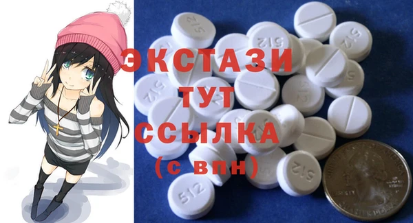 ECSTASY Богородск