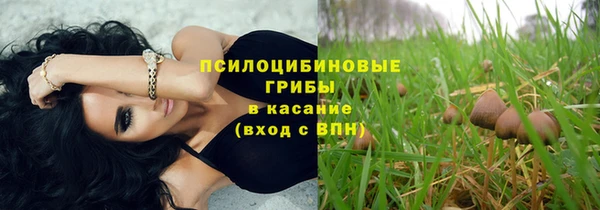 амфетамин Богданович