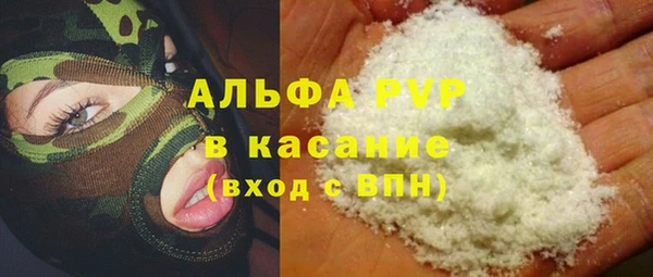 молекула духа Богородицк