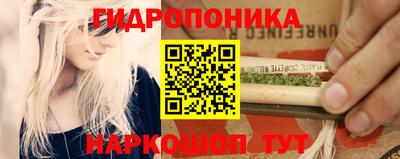 бошки Волгодонск