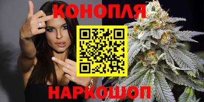 бошки Волгодонск