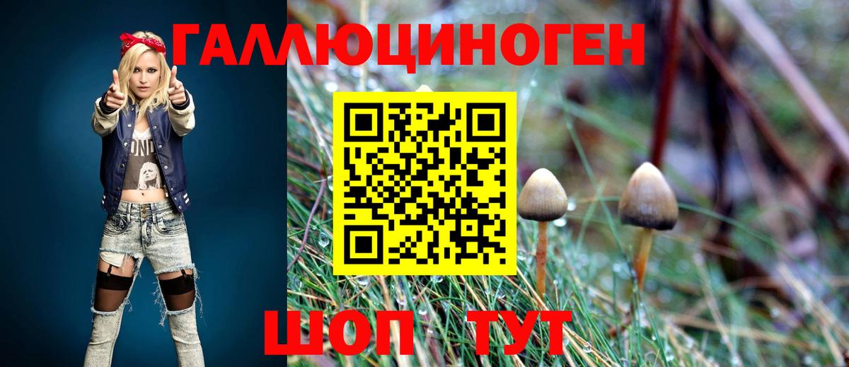 Галлюциногенные грибы MAGIC MUSHROOMS  Вход с VPN  Гатчина 