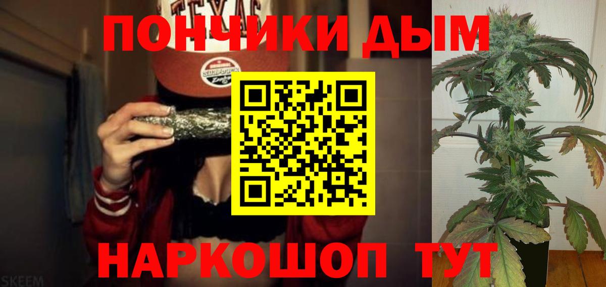 Каннабис сатива Гатчина